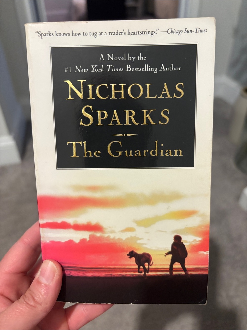 Nicholas Sparks "The Guardian" Paperback - Sunset Cover